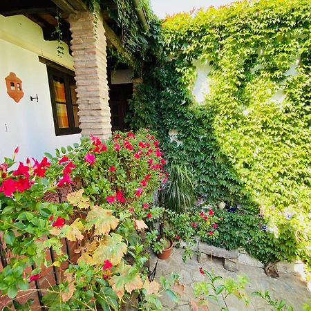 Posada La Casa Grande 히메나 델 라 프론테라 외부 사진