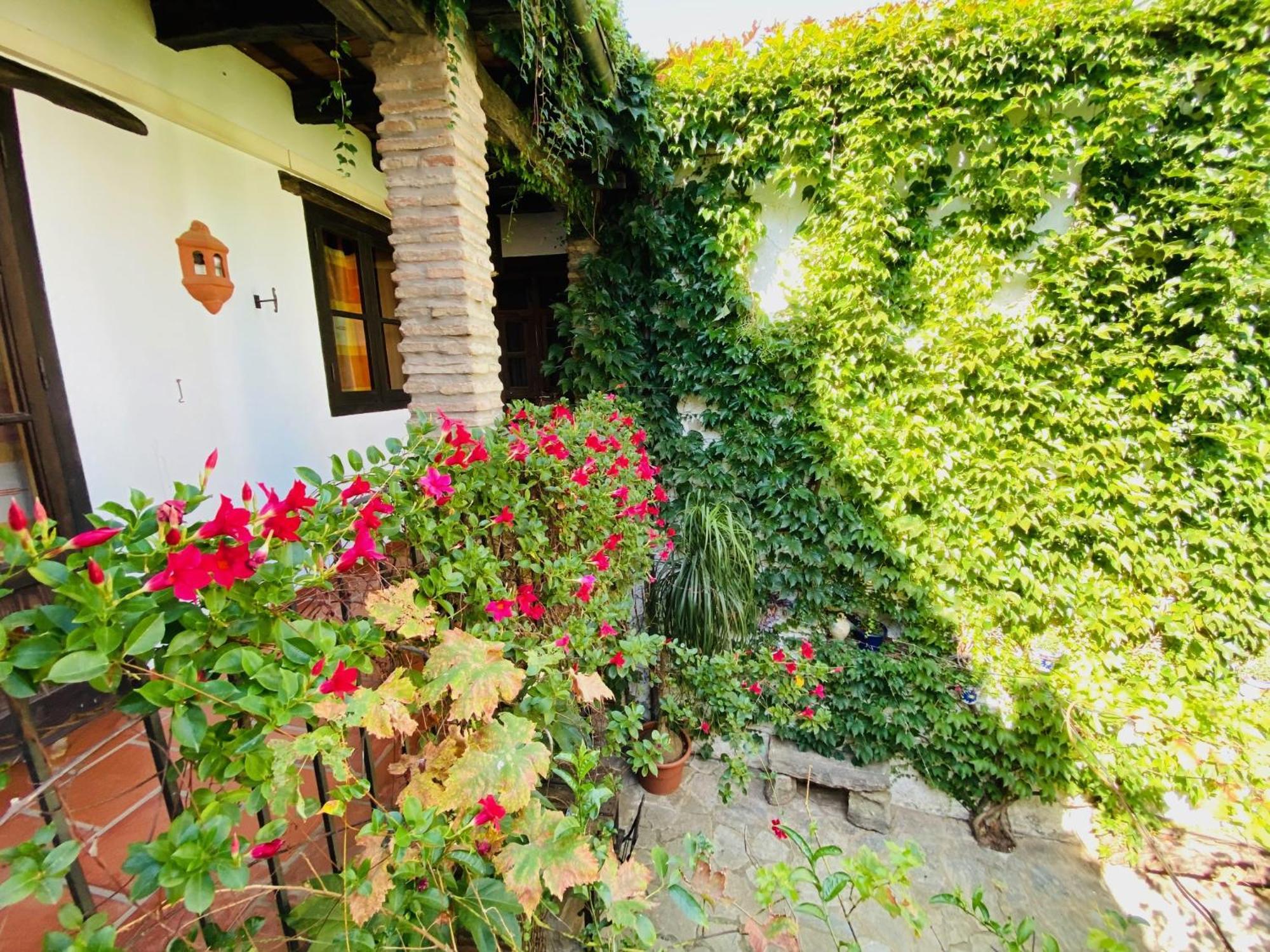 Posada La Casa Grande 히메나 델 라 프론테라 외부 사진