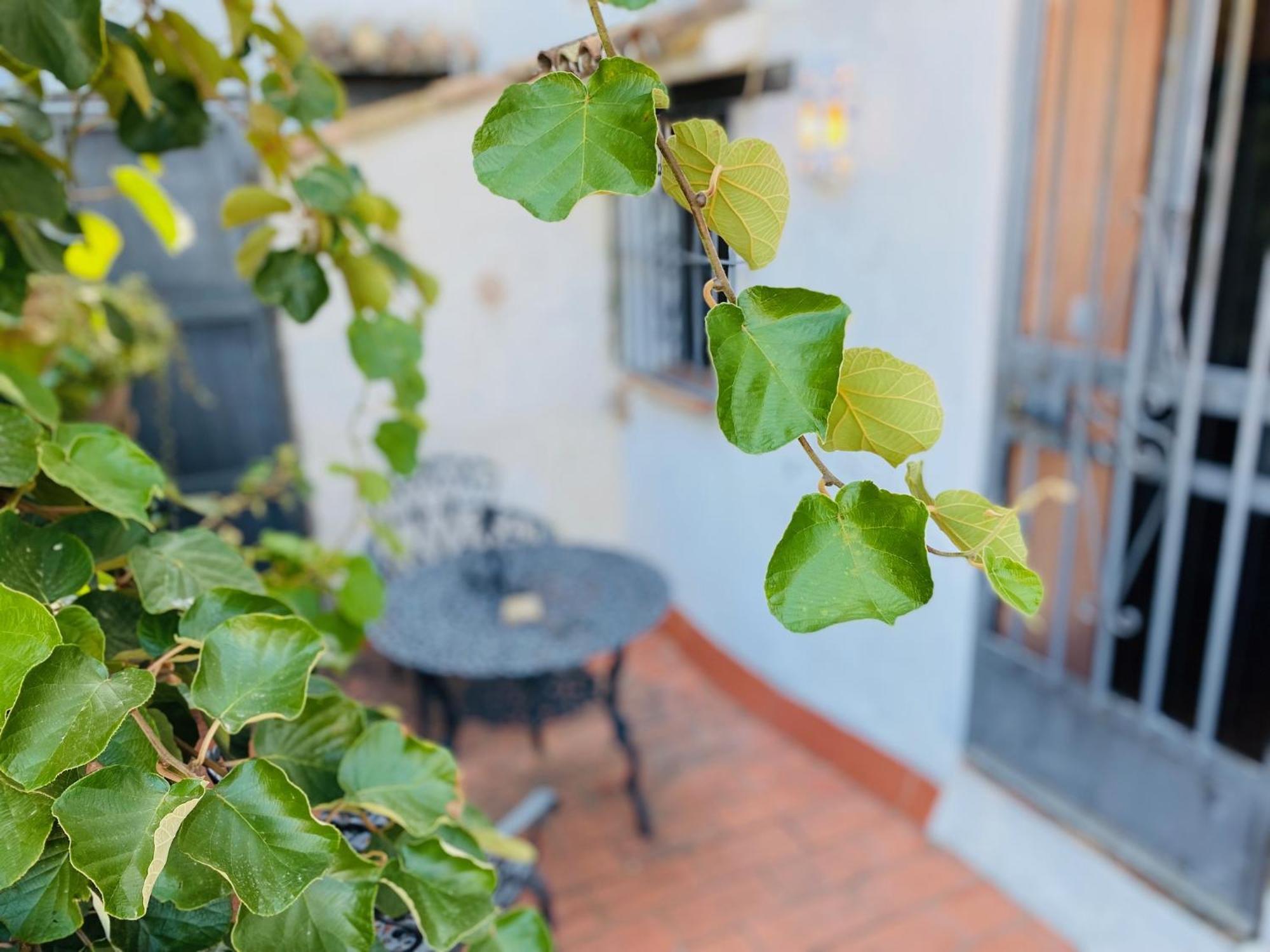 Posada La Casa Grande 히메나 델 라 프론테라 외부 사진